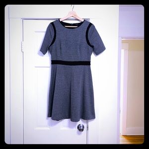Anne Taylor  6 Petite dress